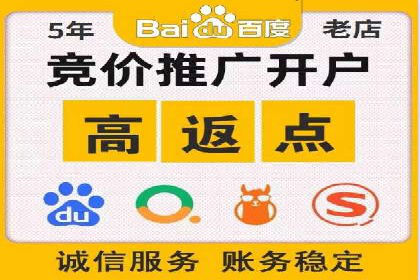 专业sem托管服务案例，揭秘广告投放优化策略